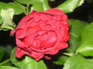 SANY0017
