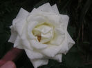 SANY0018