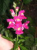 SANY0022