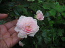 SANY0030