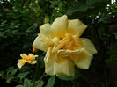DSCN3581