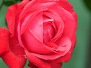 DSCN3635