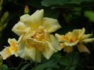 DSCN3646