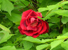 DSCN3647