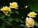 DSCN3648