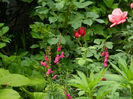 DSCN3649