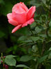 DSCN3653
