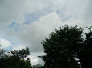 DSCN3665