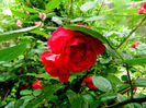 DSCN3667