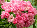 DSCN3672