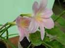 DSCN3675