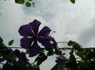 DSCN3678