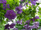 DSCN3680