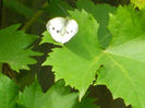 DSCN3688
