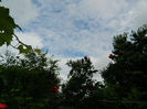 DSCN3697