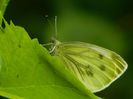 DSCN3701