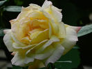 DSCN3705