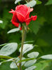 DSCN3706