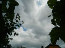 DSCN3714