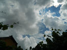 DSCN3721