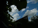 DSCN3723