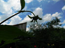 DSCN3729