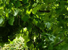 DSCN3734