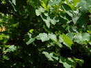 DSCN3737