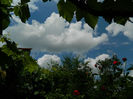 DSCN3741