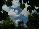 DSCN3742