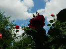 DSCN3744