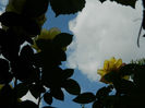 DSCN3748