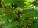 DSCN3751