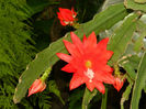 DSCN3757