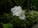 DSCN3761