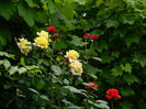 DSCN3765