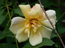 DSCN3776