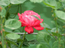DSCN3780