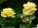 DSCN3781