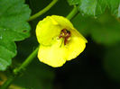 DSCN3788