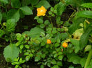 DSCN3791