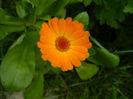 DSCN3793