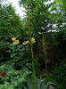 DSCN3796