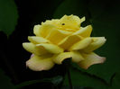 DSCN3799