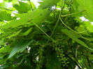 DSCN3829