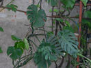 DSCN3831