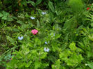 DSCN3477