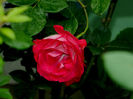 DSCN3482