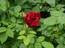 DSCN3490