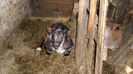 SAM_0571